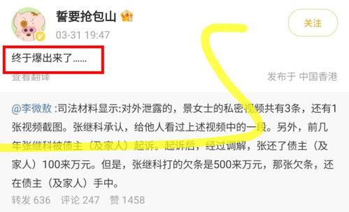 风景哥再次爆料视频播放,视频播放背后的惊人真相揭秘  第2张