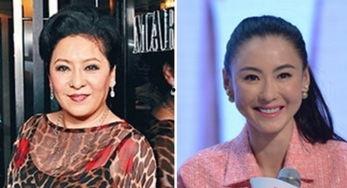 向太爆料张柏芝买包视频,张柏芝豪掷千金抢购奢侈品包包  第1张